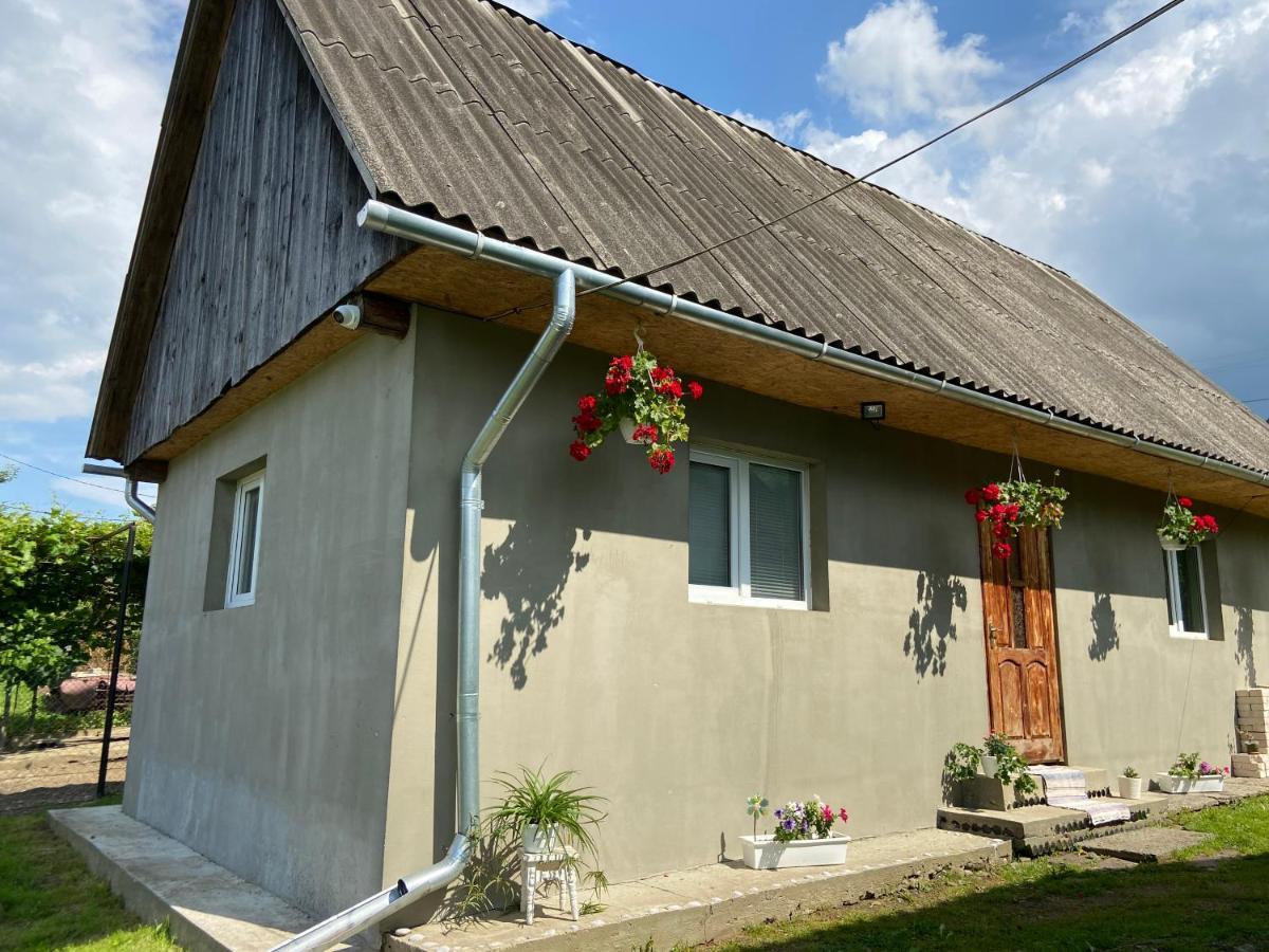 Біля Саду Volovets Exterior photo