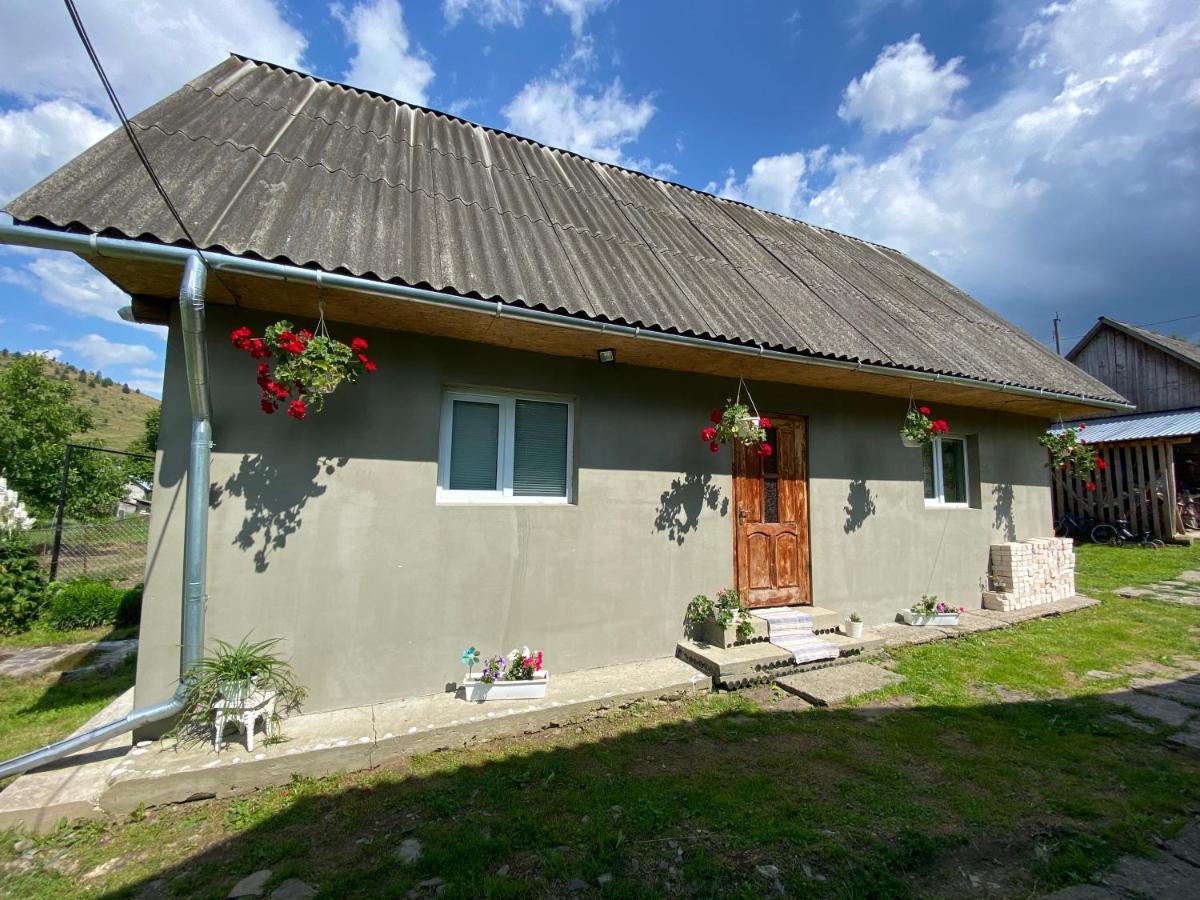 Біля Саду Volovets Exterior photo